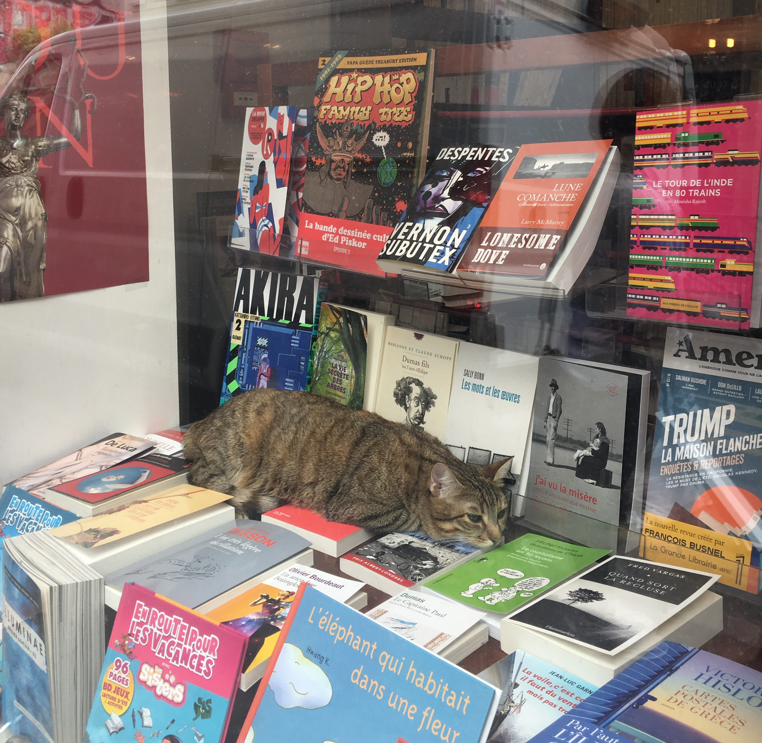 paris-bookstore-cat-daley-muse.jpg